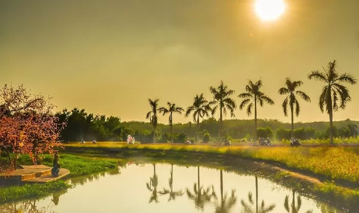 Top 20 bài hát đáng yêu viết cho thiếu nhi của các nhạc sĩ Việt Nam