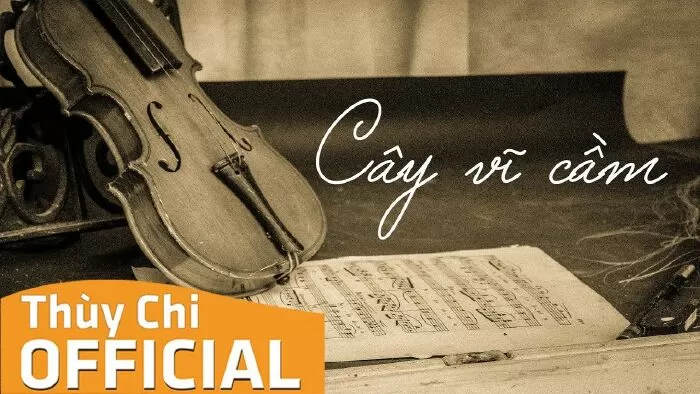 Cây vĩ cầm