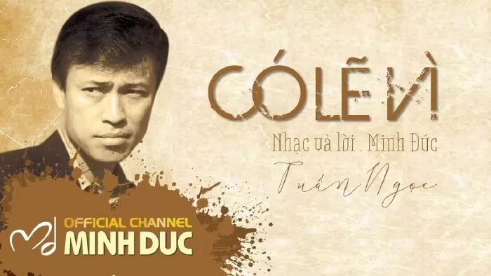Có lẽ vì