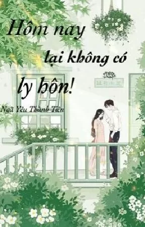 Hôm Nay Lại Không Có Ly Hôn