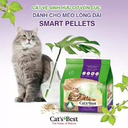 Cát vệ sinh hữu cơ cho mèo Cat'sBest