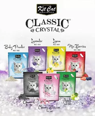 Cát thủy tinh KitCat