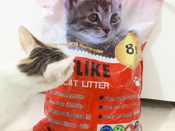 Cát vệ sinh Catlike