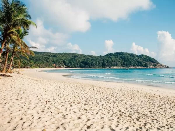 Bãi biển mất tích
