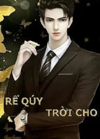 Rể Quý Trời Cho