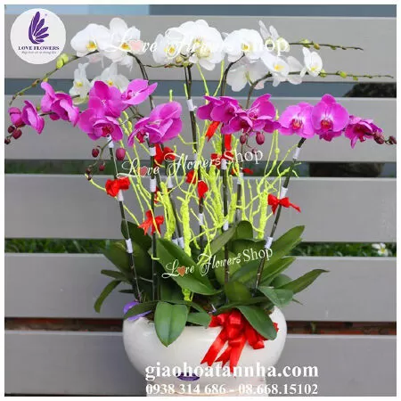 Love Flowers Shop