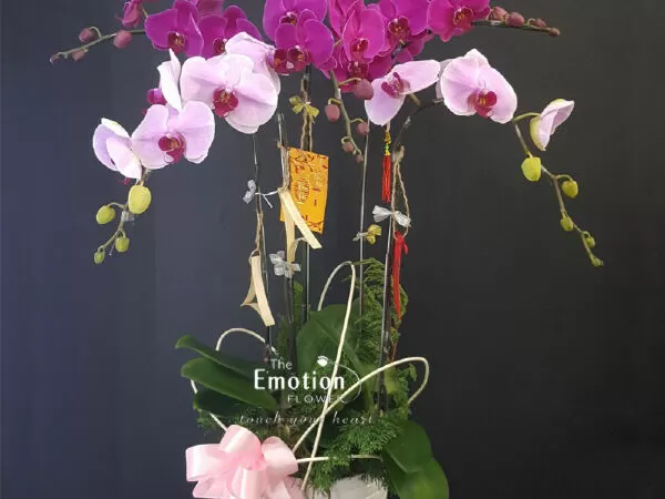 The Emotion Flower
