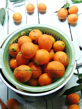 Thanh trà