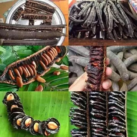 Trái ô môi