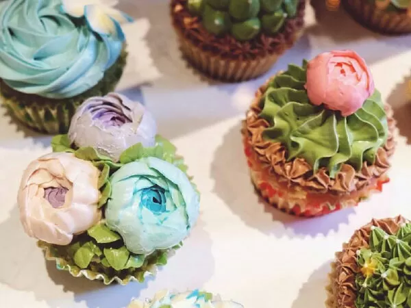 Fly Cupcake