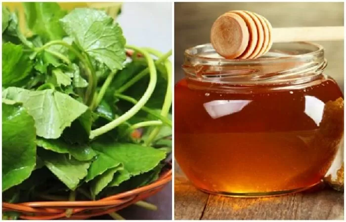 Làm mặt nạ rau má mật ong chữa nám