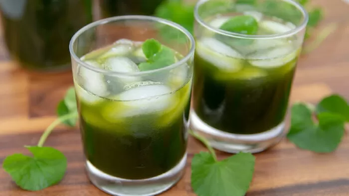 Uống nước rau má xay