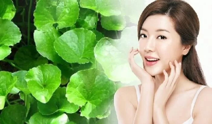 Trị nám da đơn giản bằng rau má