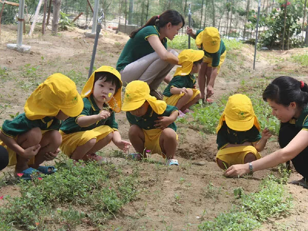 Trường mầm non Global World
