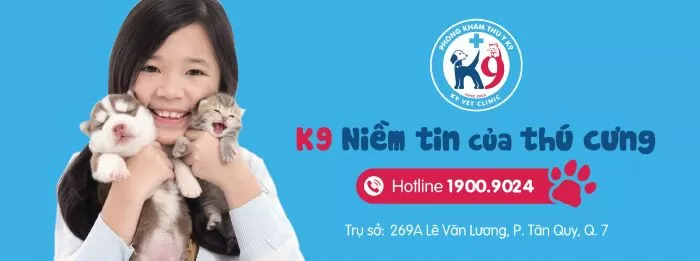 Phòng Khám Thú Y K9
