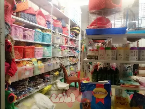 Siêu thị thú cưng LOLIPET