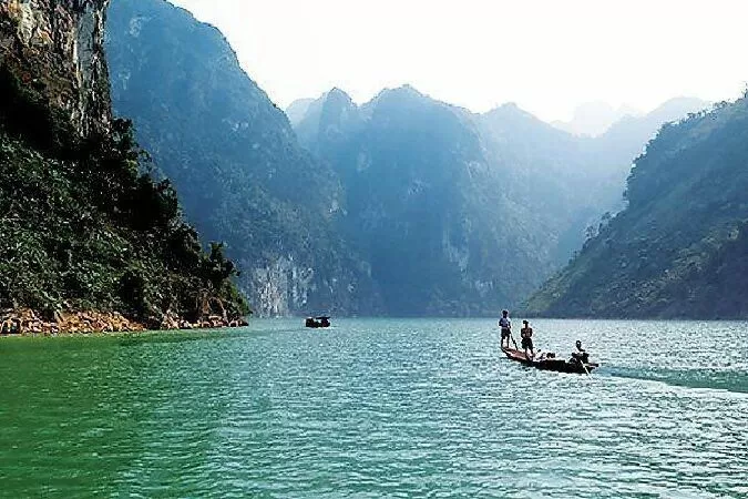Bài phân tích số 4