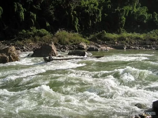 Bài phân tích số 7