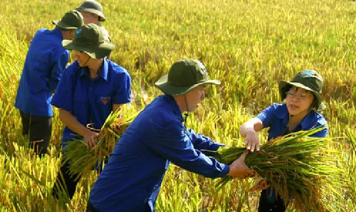 Dáng đứng Việt Nam - Lê Anh Xuân
