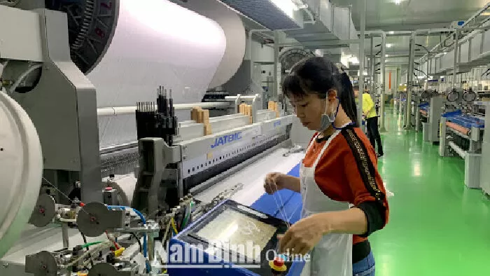 Tổng Công ty Cổ phần Dệt May Nam Định (Natexco)