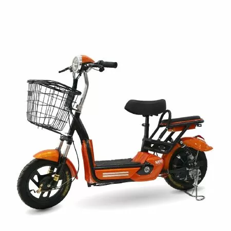 Xe đạp điện Mini New