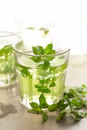 Trà bạc hà