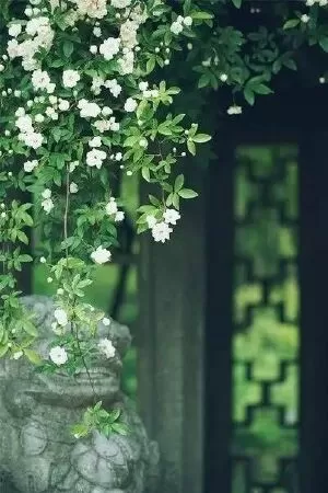 Top 10 bài văn hay phân tích Cảnh ngày hè của Nguyễn Trãi