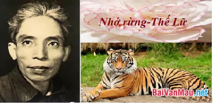 Dạng 3: