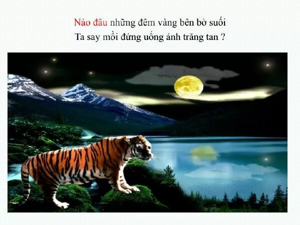 Dạng 6: