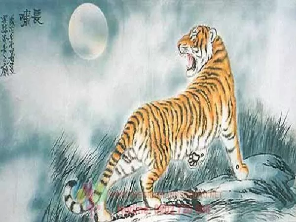 Dạng 7:
