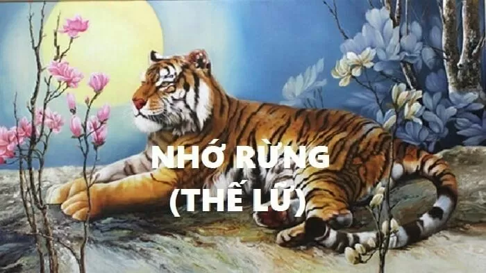 Dạng 8: