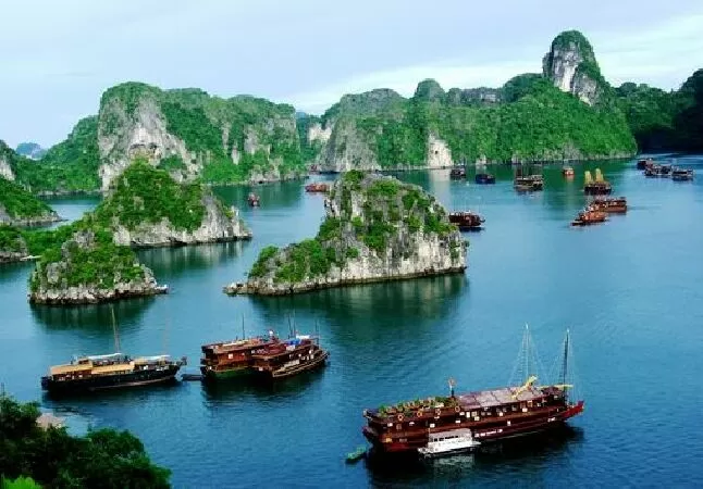 Dưỡng chân