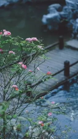 Bài văn phân tích Mùa xuân nho nhỏ số 2