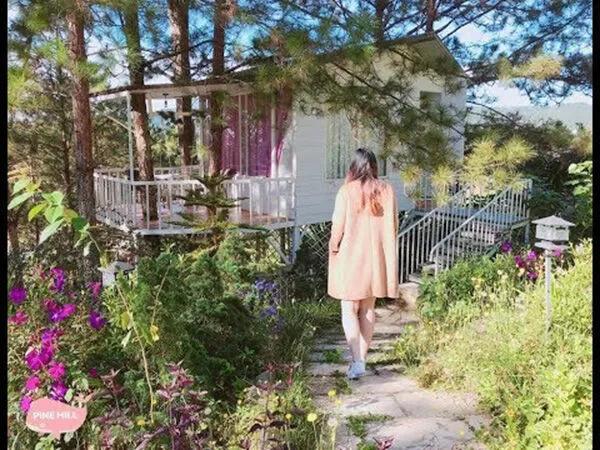 Pine Hill Homestay