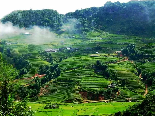 Mộc Châu