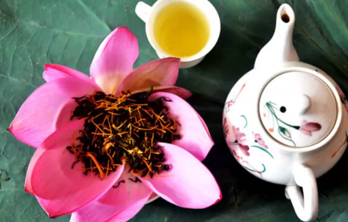 Trà sen Tây Hồ