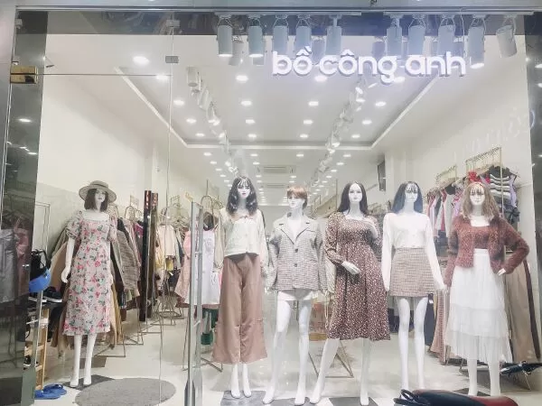 Bồ Công Anh
