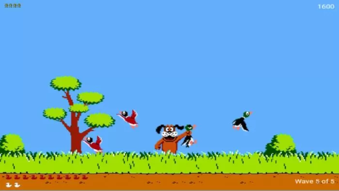 Duck Hunt