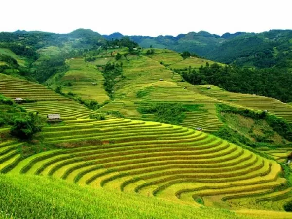 Đỉnh Cao Ba Lanh