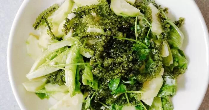 Salad cải caron – rong nho