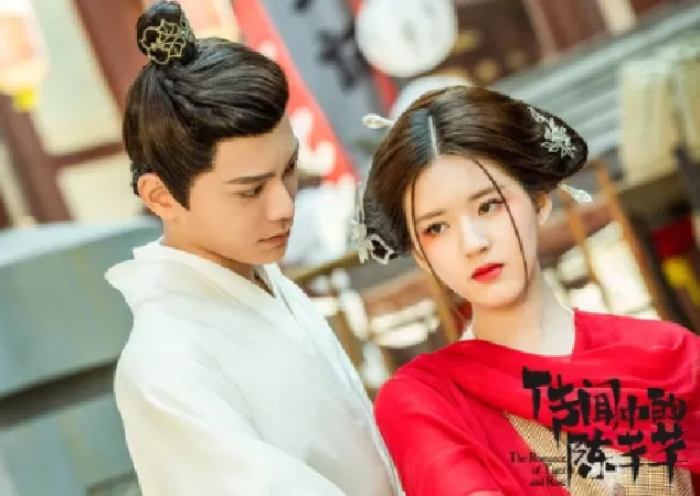 Triệu Lộ Tư – Đinh Vũ Hề