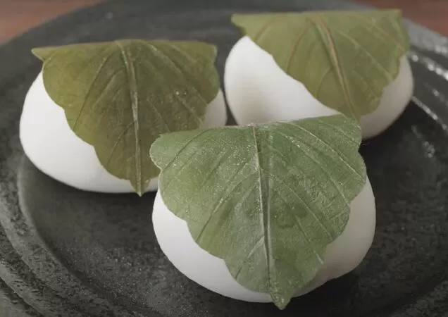 Kashiwa mochi