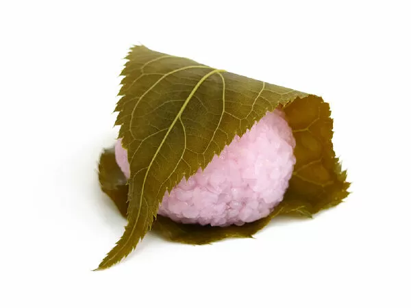 Sakuramochi