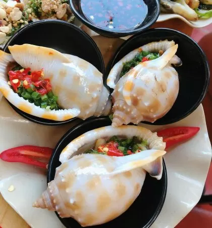 Ốc Hào