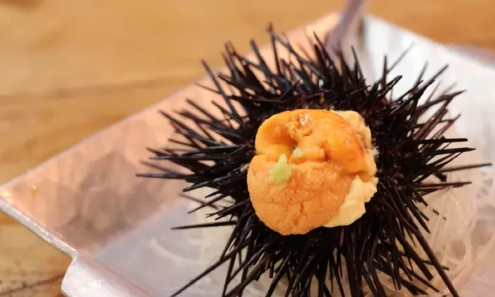 Uni
