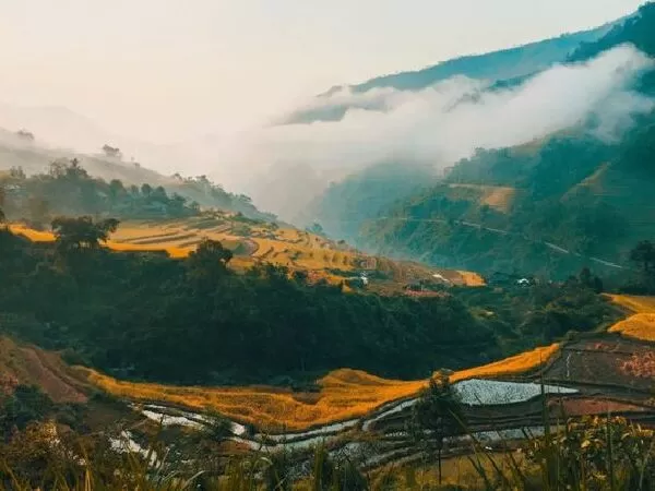 Hoàng Su Phì ( Hà Giang )