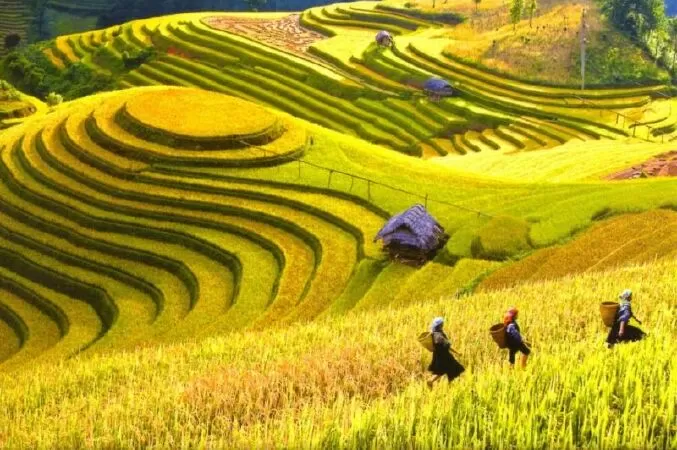 Mộc Châu (Sơn La)