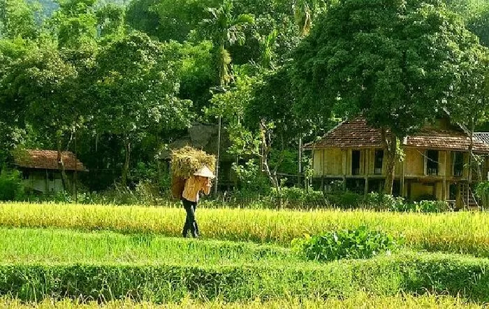 Mai Châu (Hòa Bình)