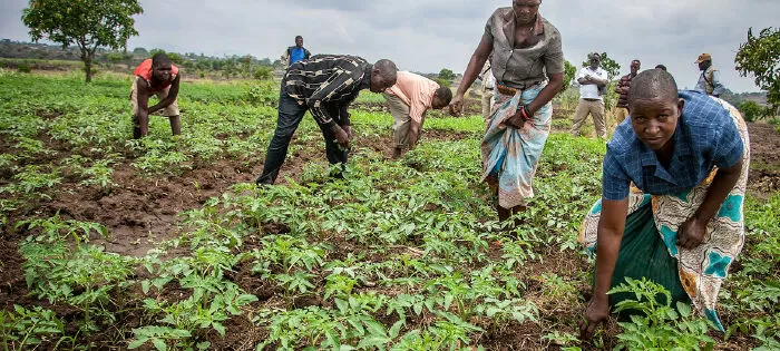 Malawi