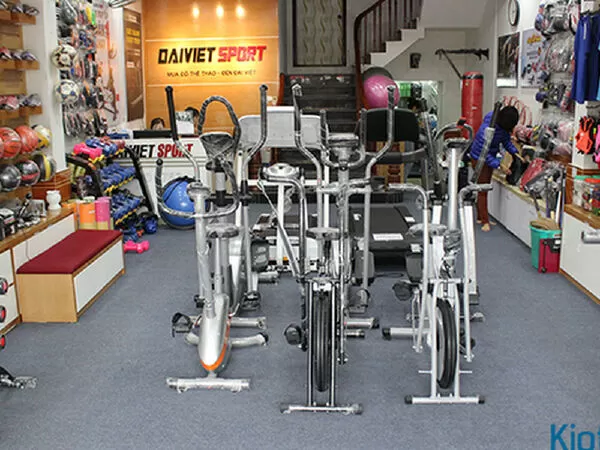 Đại Việt Sport